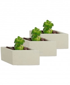 Mini Çiçek Saksı Küçük Sukulent Beyaz Kaktüs Saksısı 3'lü Set Dörtgen Yatay Model